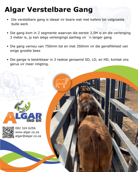 Bees Verstelbare Drukgang Panele 2